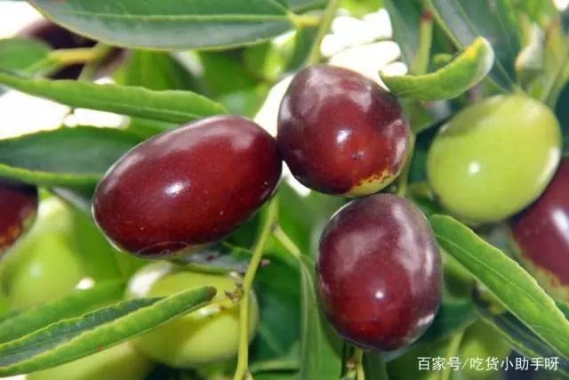 大部分人只知道泰山，却不知道泰安，介绍下来泰安必吃的十大特色