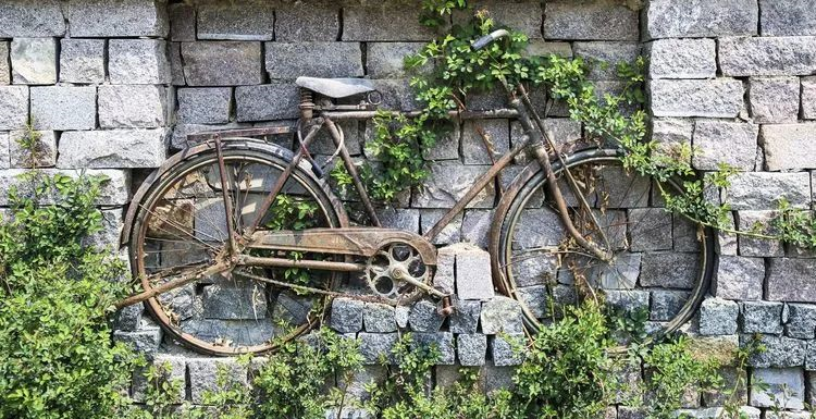 欢迎走进新泰美丽乡村——掌平洼！好山好水好空气