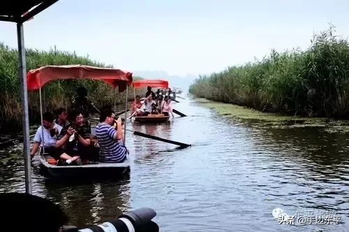 带着你的胃，寻找东平味儿