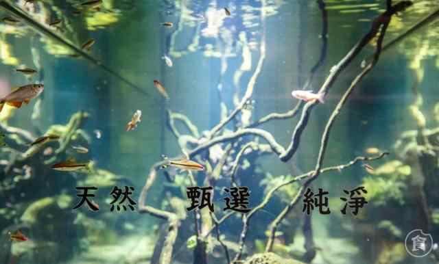 暴风“嗦”汁吃肉！火爆抖音小红书的卜卜贝，竟然就在东平！