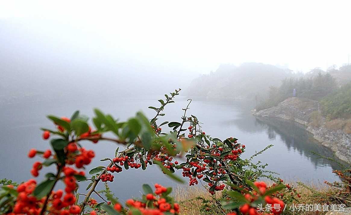 山东美食，莱芜炒鸡，不同的文化带给你一种不一样的美味