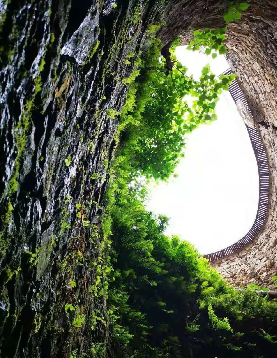 免费！这个避世古村千亩杏花盛放，螺旋龙井喷涌！风景简直一绝！