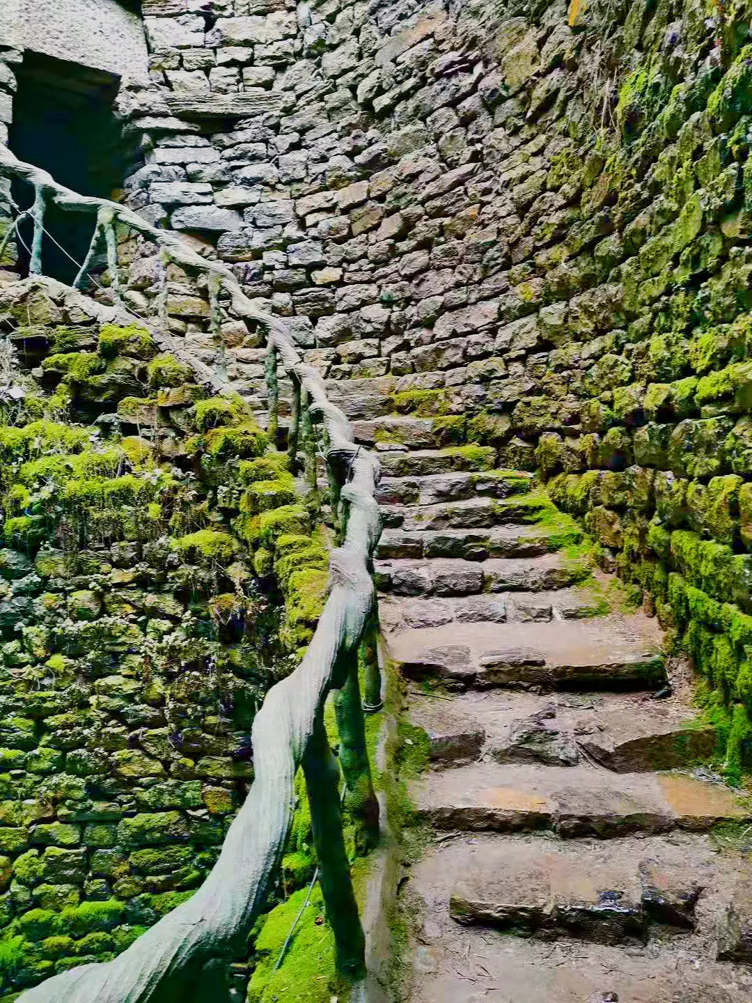 免费！这个避世古村千亩杏花盛放，螺旋龙井喷涌！风景简直一绝！