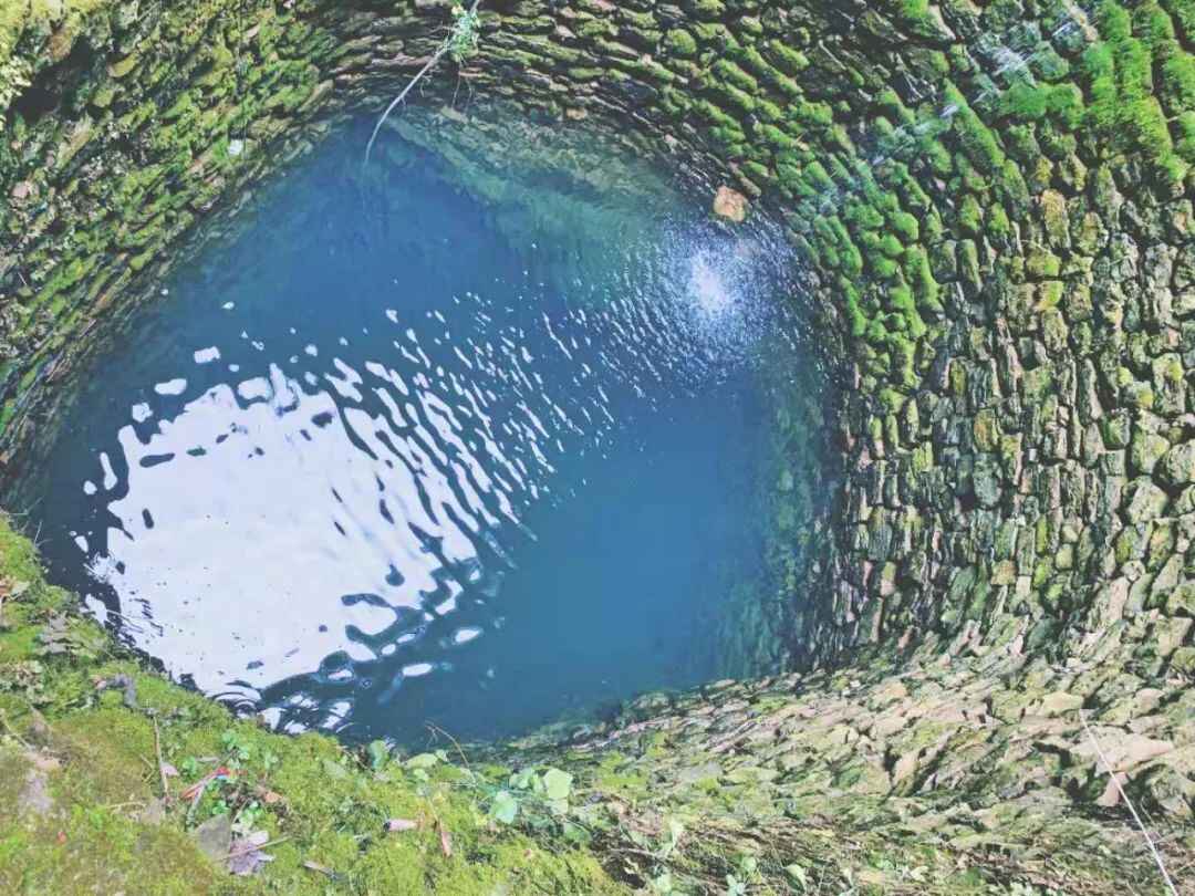 免费！这个避世古村千亩杏花盛放，螺旋龙井喷涌！风景简直一绝！