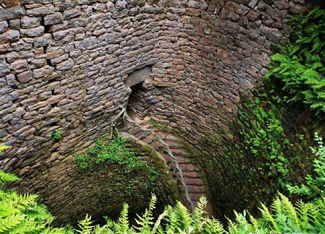 免费！这个避世古村千亩杏花盛放，螺旋龙井喷涌！风景简直一绝！