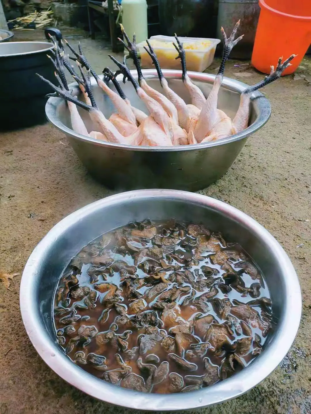 免费！这个避世古村千亩杏花盛放，螺旋龙井喷涌！风景简直一绝！