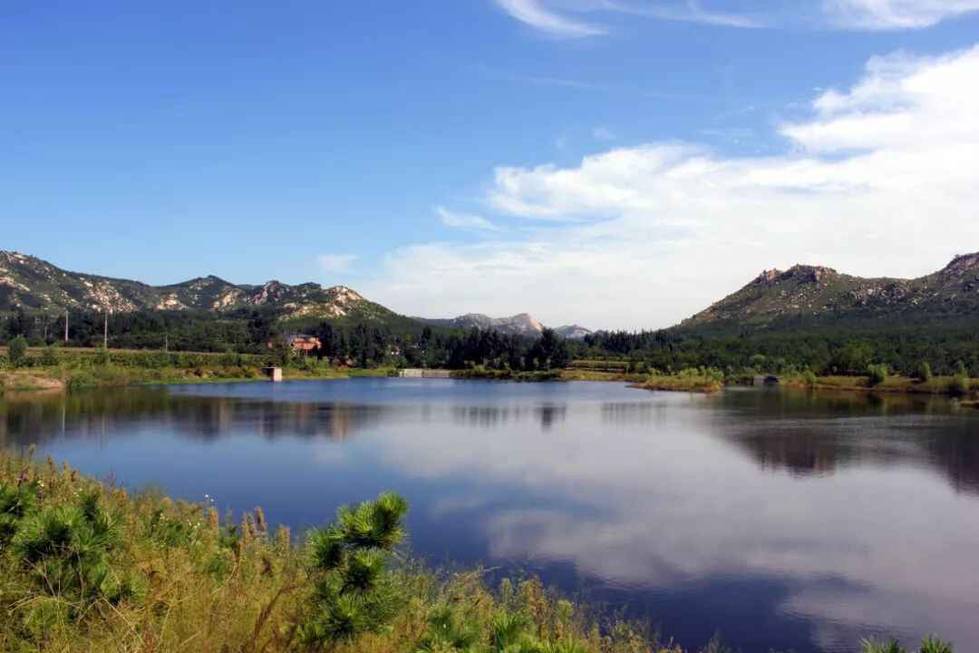 春节放假去哪玩？宁阳本地最全攻略在这里，赶紧收藏！