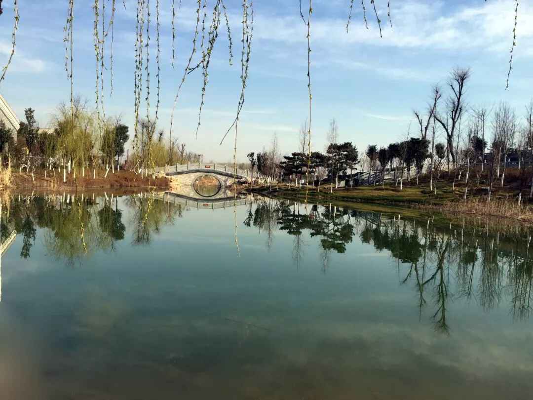春节放假去哪玩？宁阳本地最全攻略在这里，赶紧收藏！
