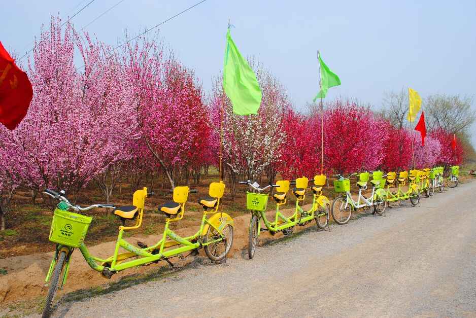 春节放假去哪玩？宁阳本地最全攻略在这里，赶紧收藏！