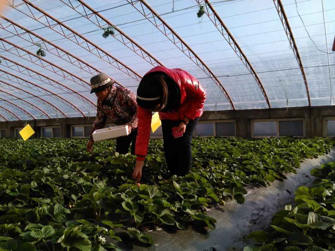 春节放假去哪玩？宁阳本地最全攻略在这里，赶紧收藏！