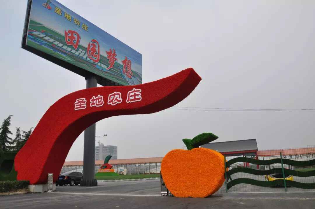 春节放假去哪玩？宁阳本地最全攻略在这里，赶紧收藏！