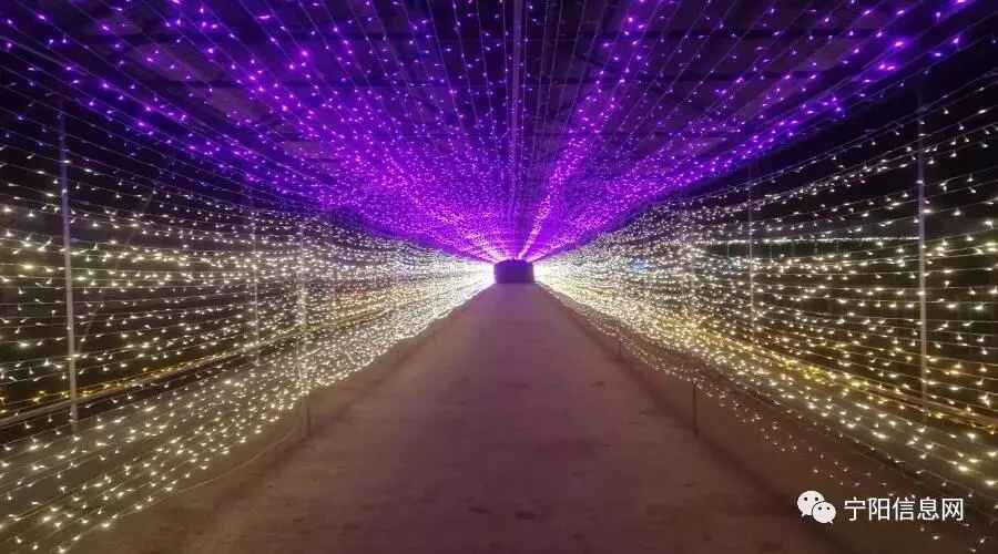 春节放假去哪玩？宁阳本地最全攻略在这里，赶紧收藏！
