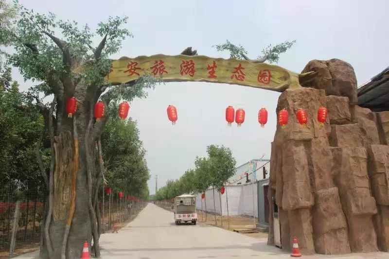春节放假去哪玩？宁阳本地最全攻略在这里，赶紧收藏！