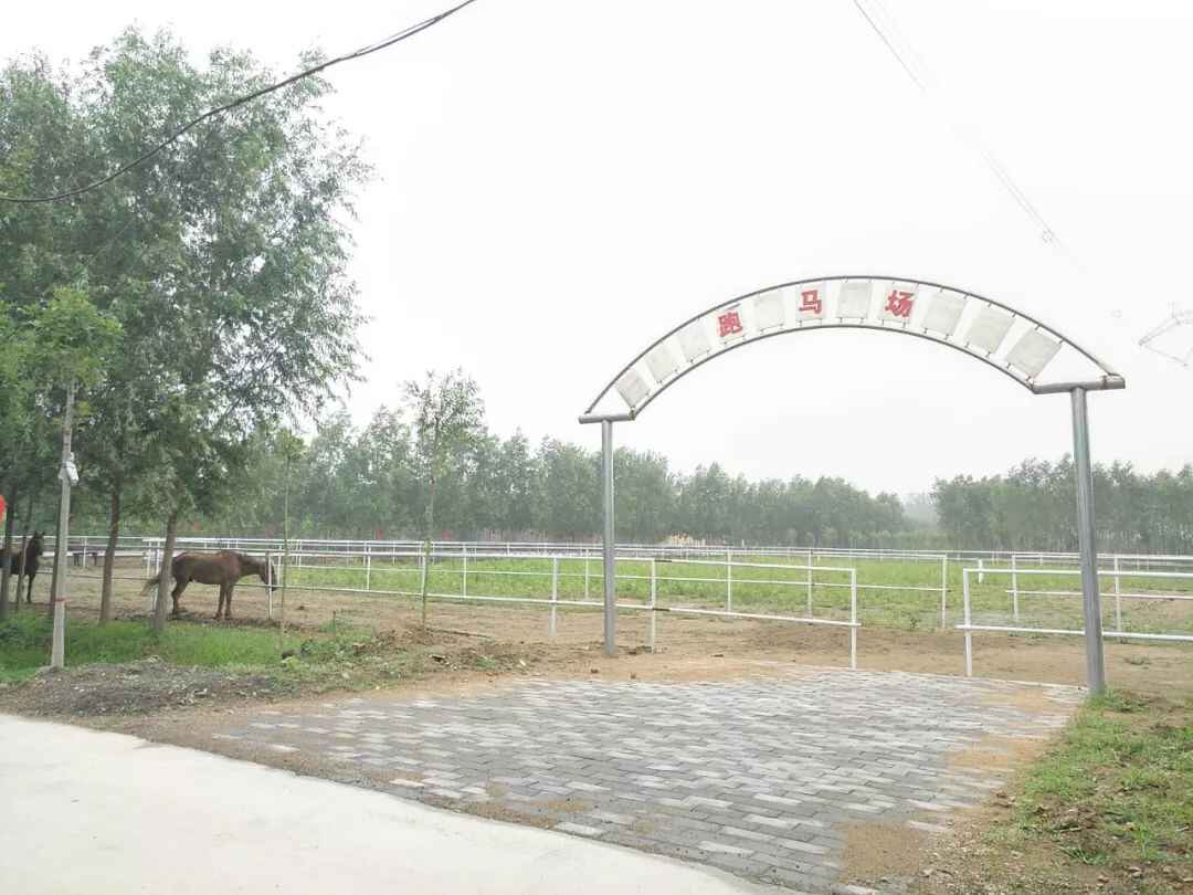 春节放假去哪玩？宁阳本地最全攻略在这里，赶紧收藏！