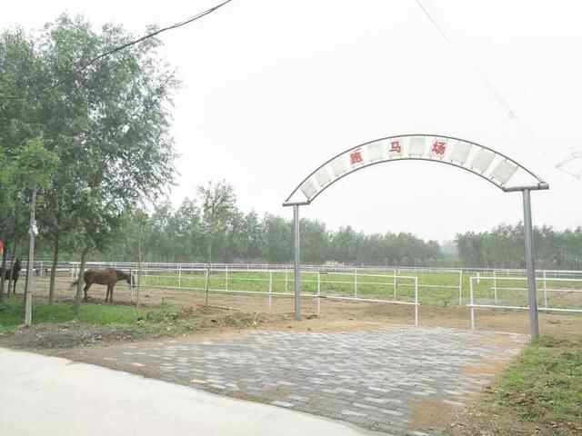 春节放假去哪玩？宁阳本地最全攻略在这里，赶紧收藏！