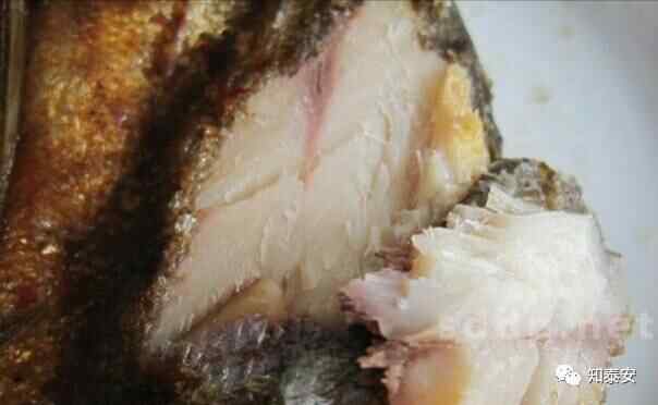 睡前勿看！这几种东平美食不P图也能让你口水直流