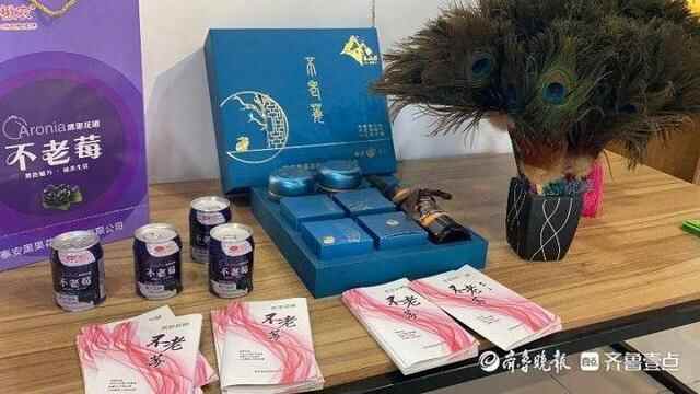 宁阳特产非遗馆里齐亮相 享文化盛宴、品技艺风采