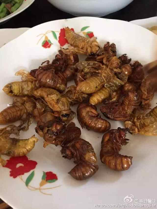 这道美食山东人应该都知道，你那里叫什么呢？记得常回家看看