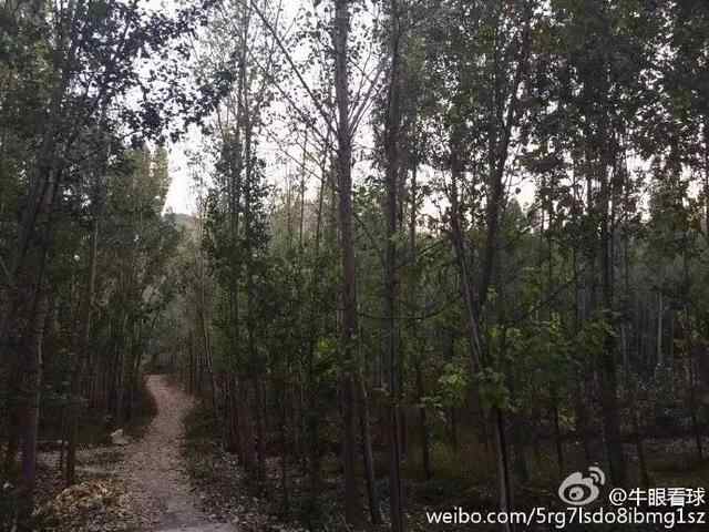 这道美食山东人应该都知道，你那里叫什么呢？记得常回家看看
