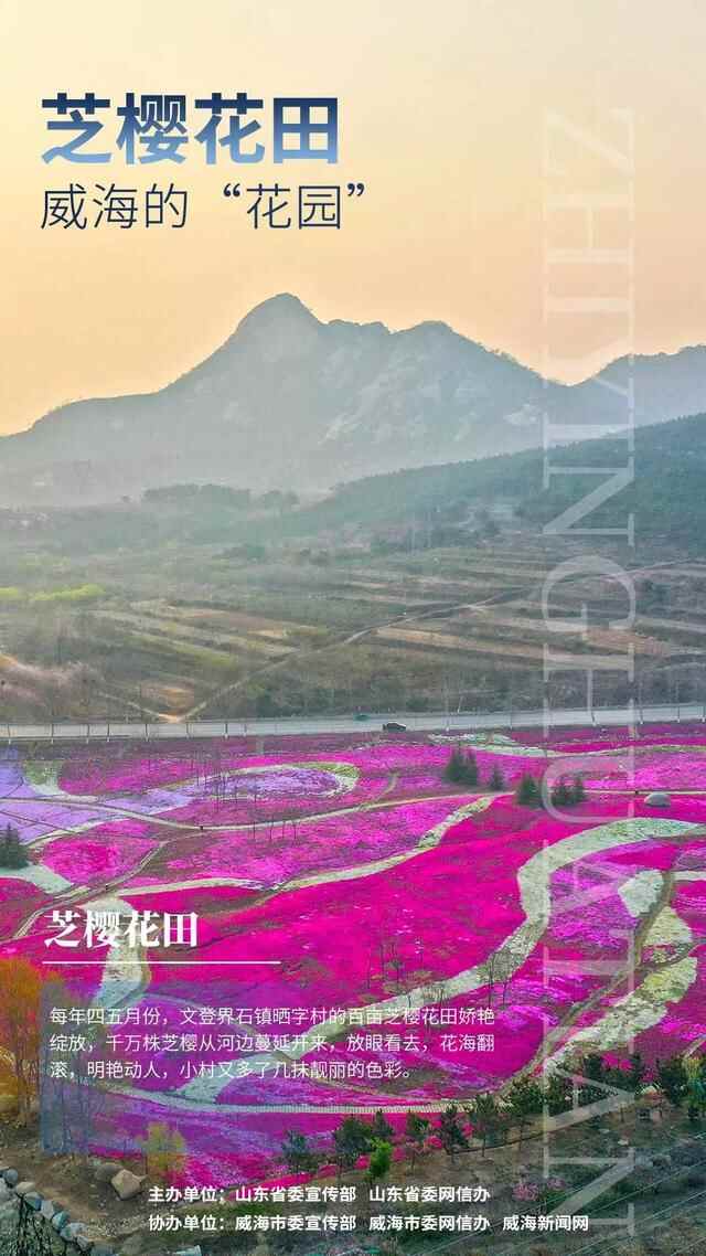 威海人请回避一下，给全国的朋友介绍一下威海