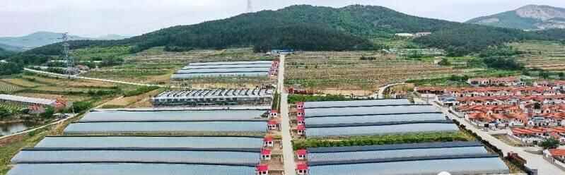 威海市环翠区：在高质量发展的“赛道”上“乘风破浪”