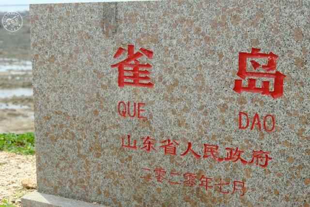 走，去威海文登“宝藏海滩”寻鲜