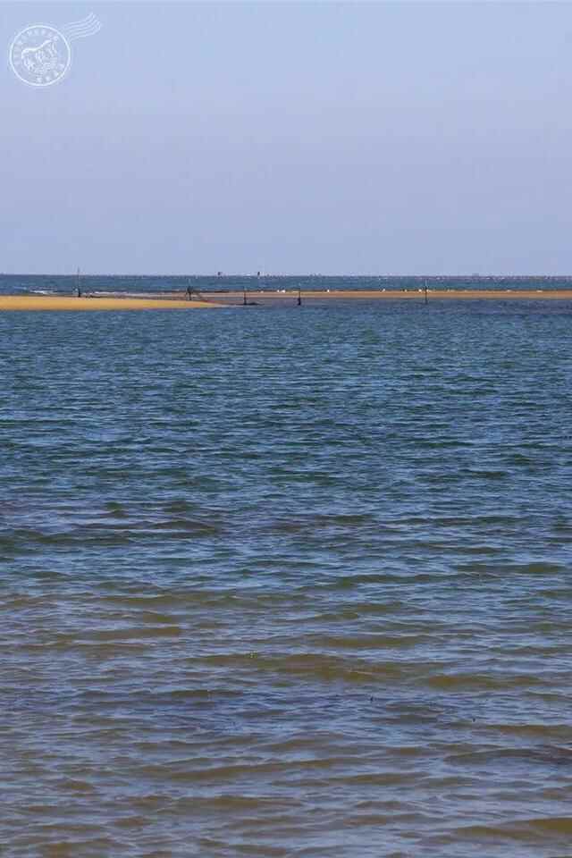 走，去威海文登“宝藏海滩”寻鲜