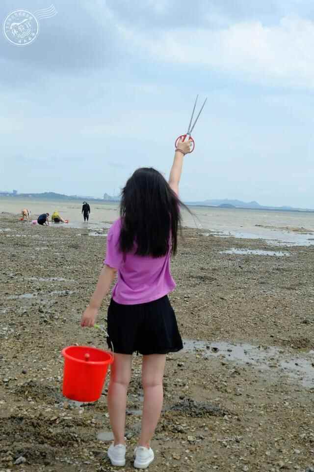 走，去威海文登“宝藏海滩”寻鲜