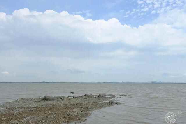走，去威海文登“宝藏海滩”寻鲜