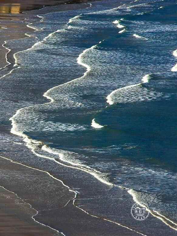 走，去威海文登“宝藏海滩”寻鲜