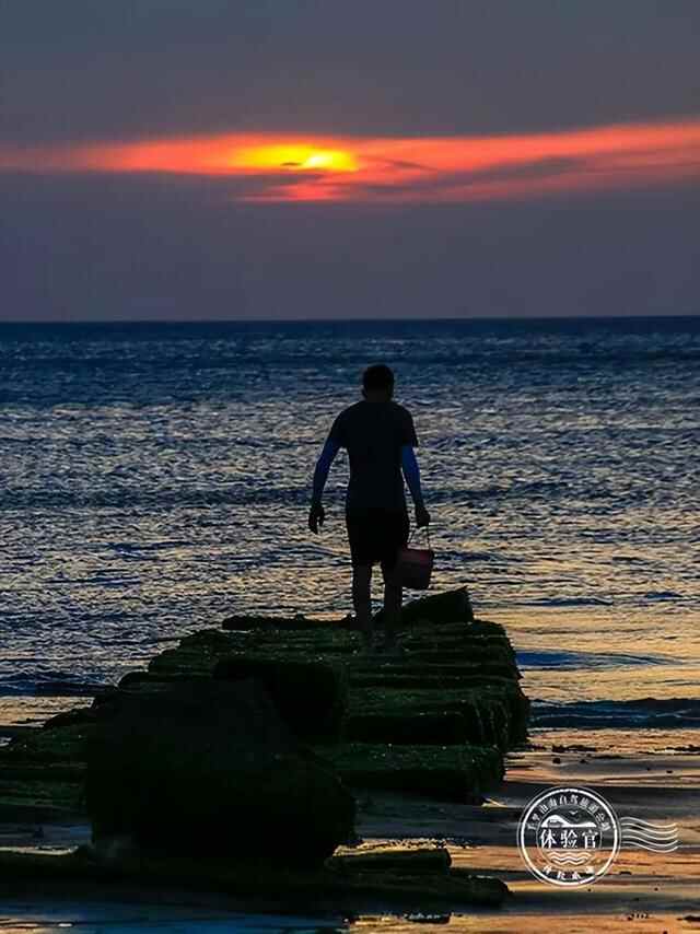走，去威海文登“宝藏海滩”寻鲜