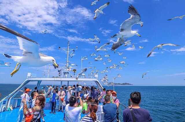 这个夏天，威海荣成旅游凭啥“火出圈”？
