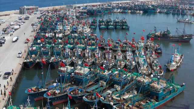 山东荣成：“海洋资源得到养护，出海才能鱼虾满仓”