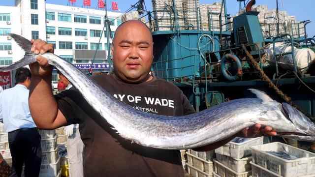 山东荣成：“海洋资源得到养护，出海才能鱼虾满仓”