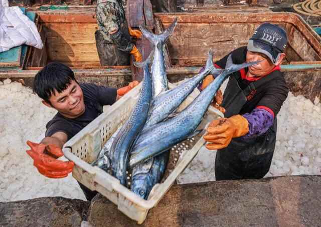 山东荣成：“海洋资源得到养护，出海才能鱼虾满仓”