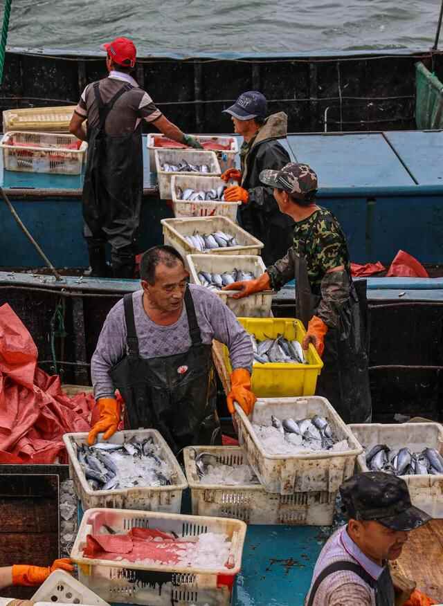 山东荣成：“海洋资源得到养护，出海才能鱼虾满仓”