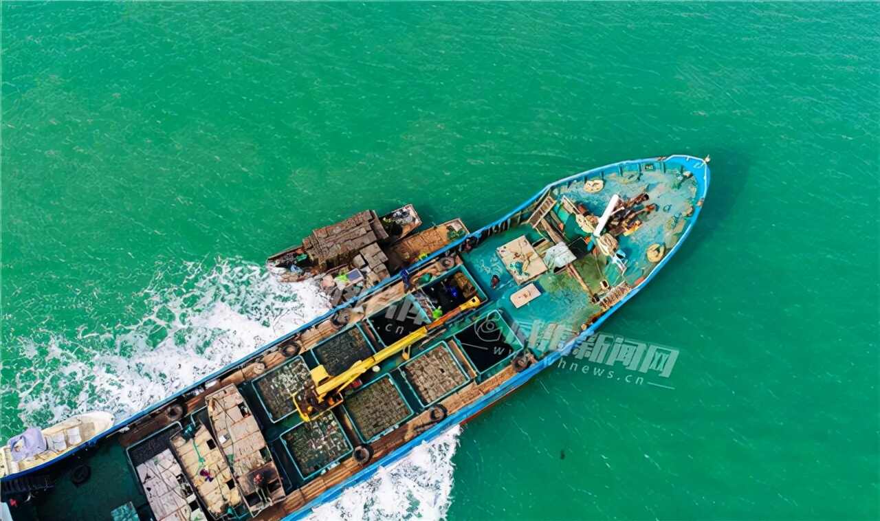 凭啥？乒乓国球「选择威海」