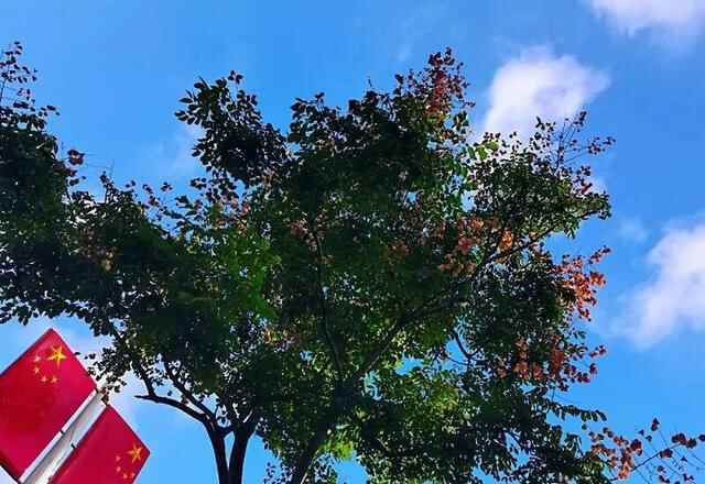 威海市环翠区：秋高气爽 在蓝天白云间 遇见最美时光