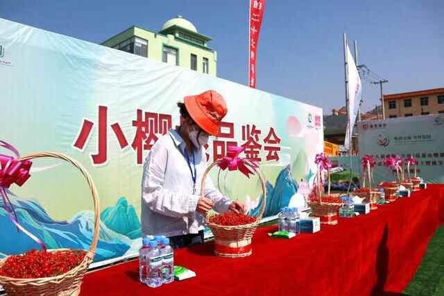 樱桃“打擂台”，第十八届威海（文登）昆嵛山樱桃节开幕