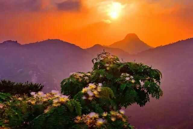 夕阳美如画，晚风醉流霞，大乳山的绝美落日强势来袭！