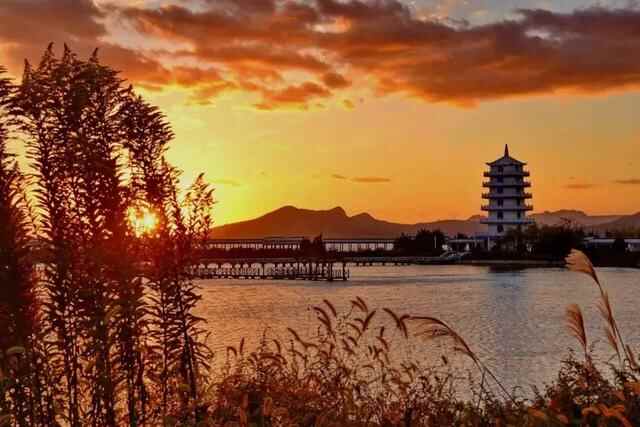 夕阳美如画，晚风醉流霞，大乳山的绝美落日强势来袭！