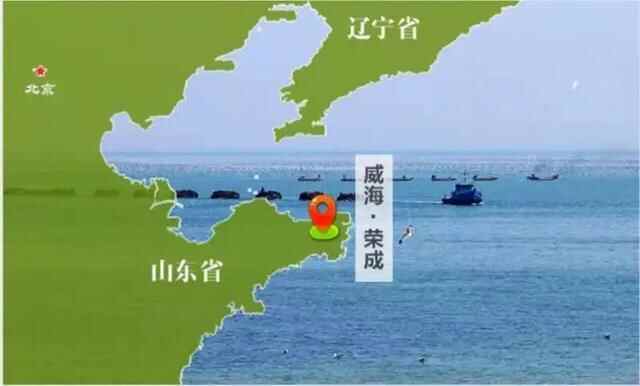 上大学第一年就后悔了，幸好毕业后我选择了荣成