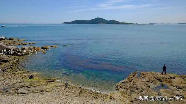 威海环海路起点有一秘境，海滩竟然有天然水族馆，可惜不能带回家