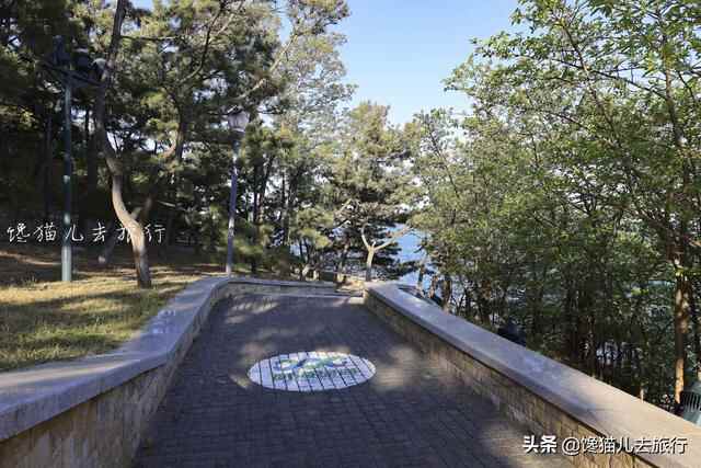 威海环海路起点有一秘境，海滩竟然有天然水族馆，可惜不能带回家