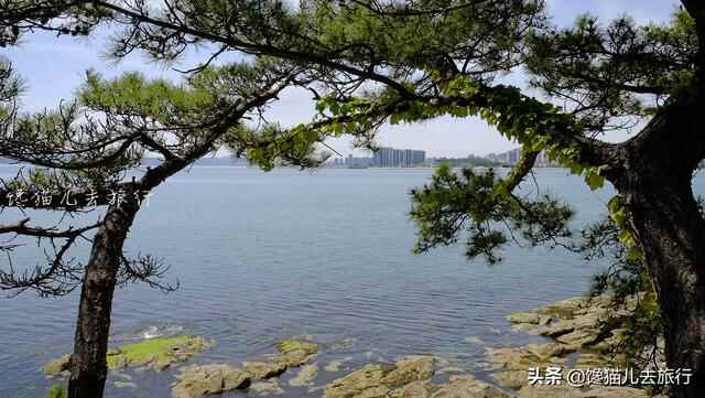威海环海路起点有一秘境，海滩竟然有天然水族馆，可惜不能带回家