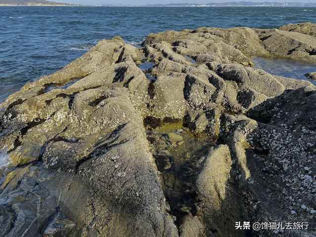 威海环海路起点有一秘境，海滩竟然有天然水族馆，可惜不能带回家