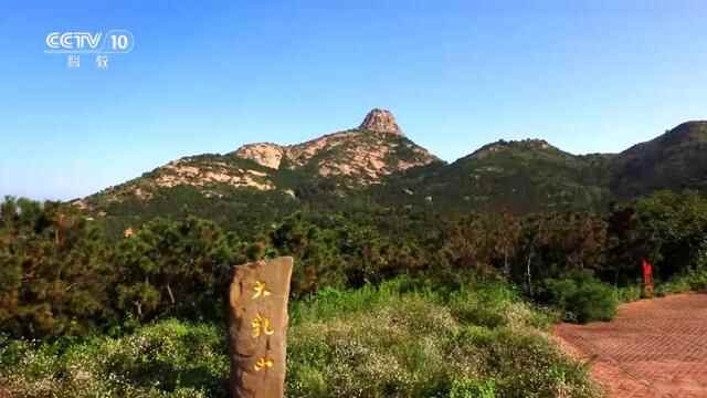 预告！央视《中国影像方志》乳山篇即将播出，敬请期待