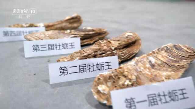 预告！央视《中国影像方志》乳山篇即将播出，敬请期待