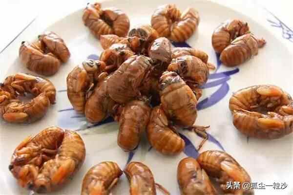 荣成5大特色美食