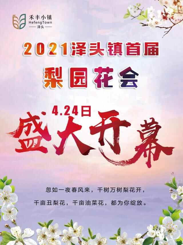你的诗和远方，在我家丨威海文登这片梨花啊